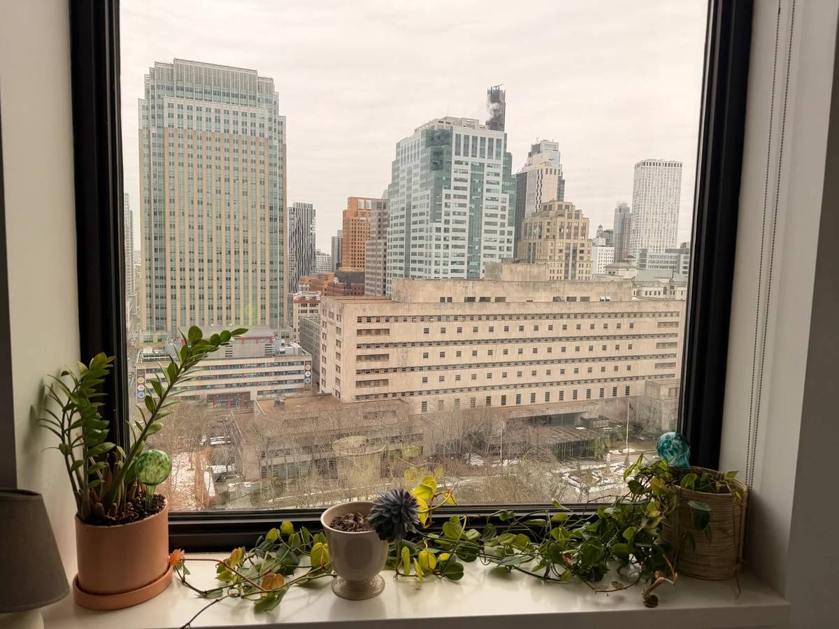 City skyline viewed through a window with houseplants on the sill